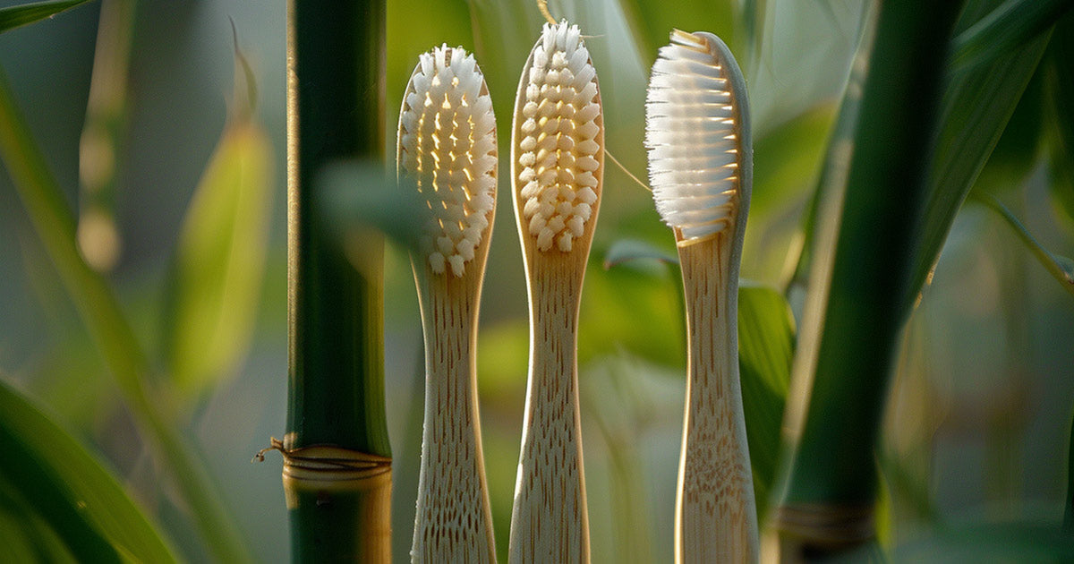 Are Bamboo Toothbrushes Good?