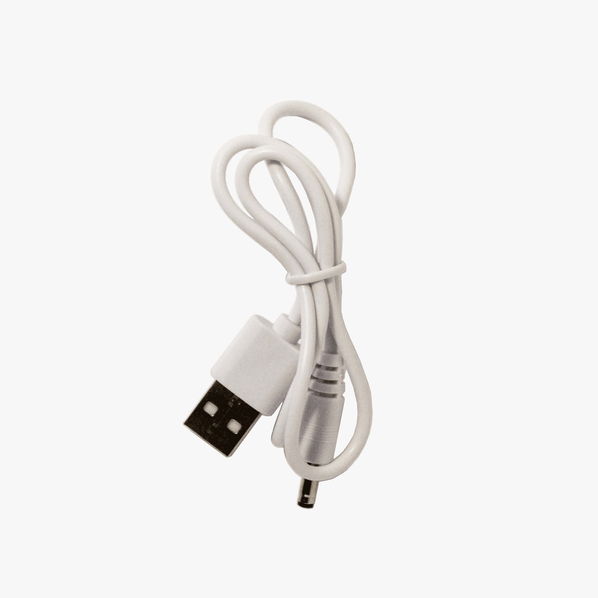 Zen and Junior Replacement Charger