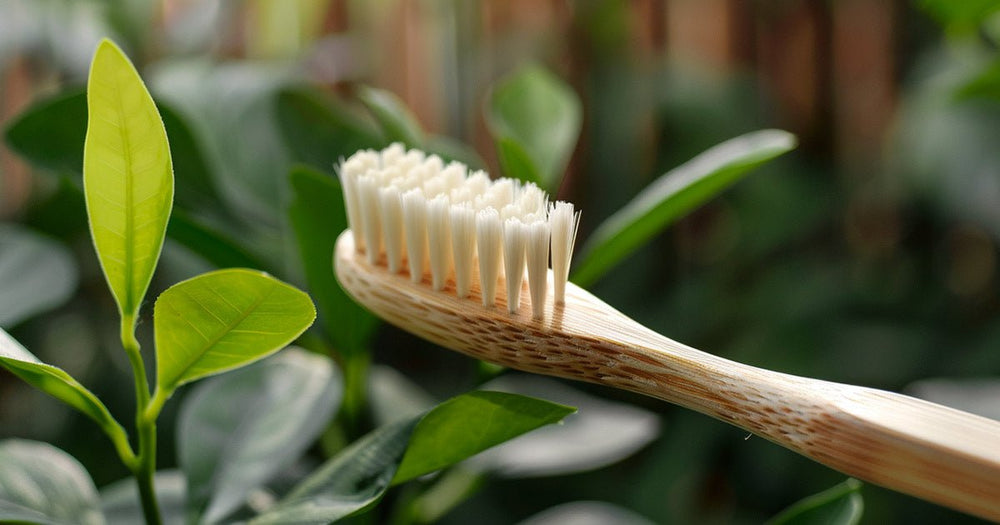 Sustainable Toothbrush Components: Crafting a Greener Smile - Sustainable Tomorrow