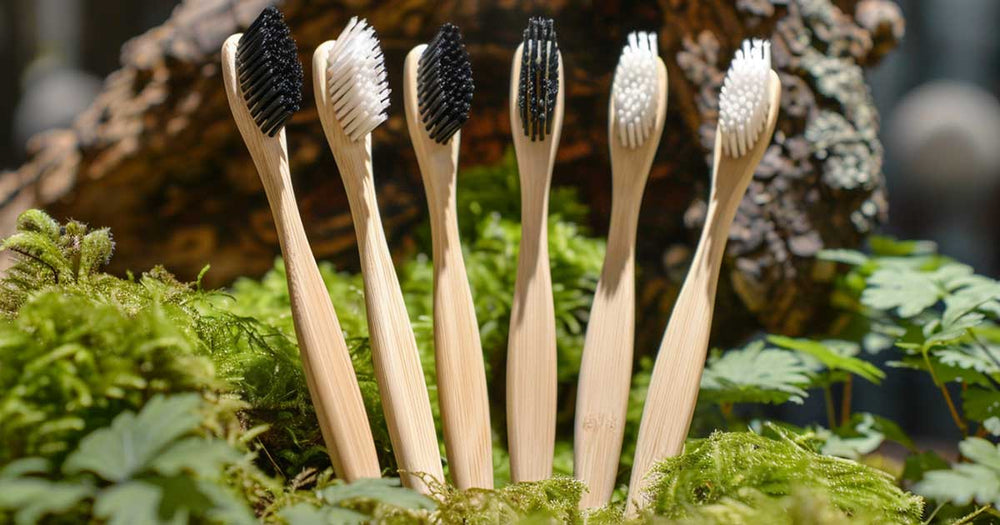 Sustainable Toothbrush Components: Crafting an Eco-Friendly Smile - Sustainable Tomorrow