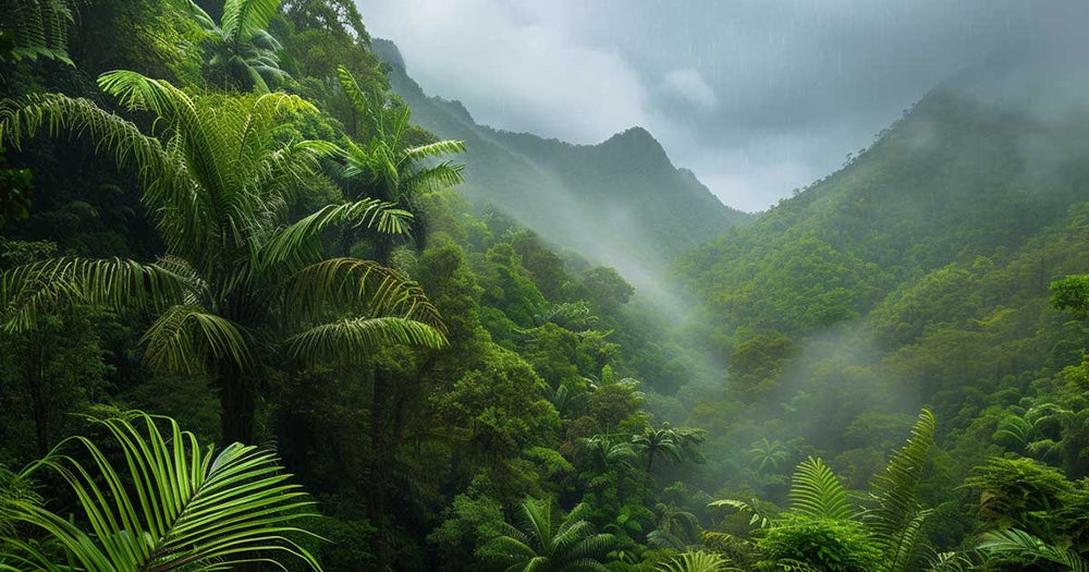 Unveiling Nature's Pharmacy: The Crucial Role of Rainforests in Western Medicine - Sustainable Tomorrow