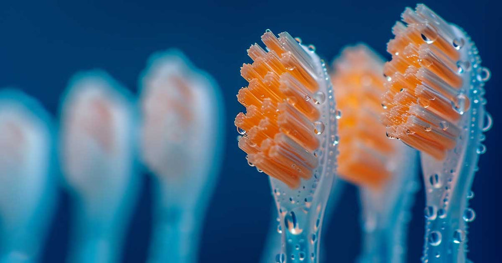 What type of bristles should you choose for your toothbrush? - Sustainable Tomorrow